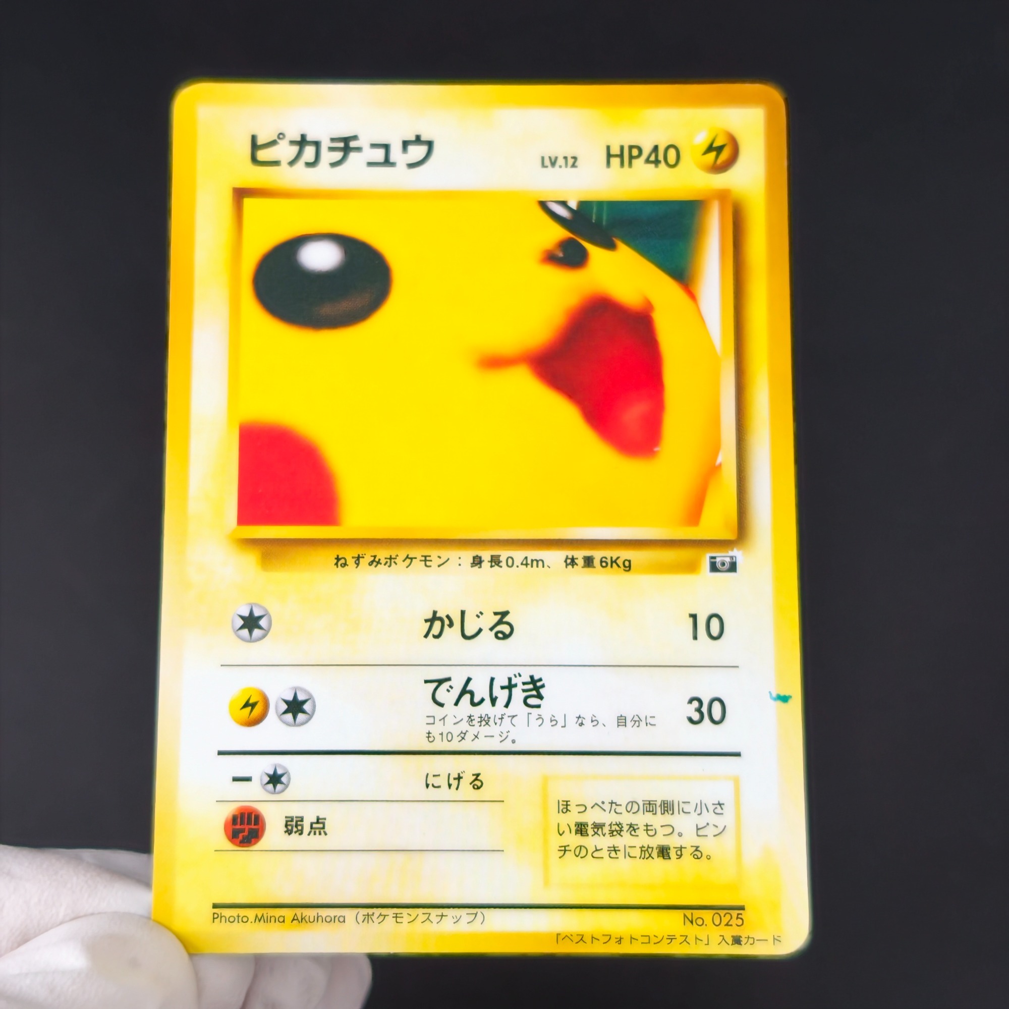 Vintage Pokemon Collectible - 10PCS Pokemon Vintage Boy Bulbasaur Charmander